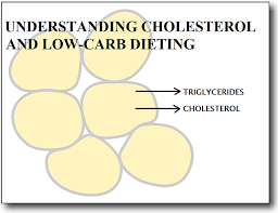 This link is to an external site that may or may not meet accessibility guidelines. Understanding Cholesterol And Low Carb Diet Is Your Cholesterol Rising