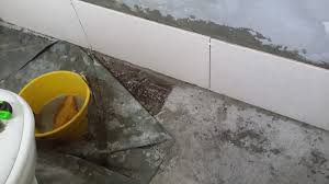 Bersihkan mozaik pada dinding dan lantai kolam secara rutin dan berkala. Impiana Diy Projek No 1 Tandas Pasang Tiles Dan Tukar Accessories