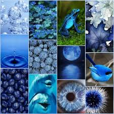 Pin Von Jochen Benstein Auf Magenta Farben Himmelblau Blau