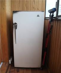 Derin dondurucudan sonra çözdürülen balığın etlerinin arasındaki bağlar zayıflar bu bakımdan parçalanması kolaylaşır. Balkonda Buzdolabi 36 Fotograf Kisin Bir Sundurma Koymak Mumkun Mu Tasarim Mutfak 2021