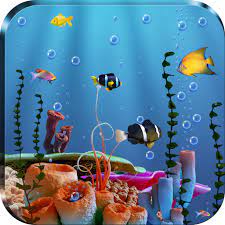 This collection presents the theme of aquarium live wallpaper for pc. Amazon Com Live Fish Feed Wallpaper Appstore For Android
