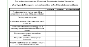 Answer the following questions using your notes and your textbook. Diffusion Osmosis And Active Transport Worksheet Pdf Google Drive