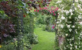 Lang Und Schmal Gestaltungstipps Mit Breitenwirkung Schmaler Garten Garten Design Plane Und Bepflanzung