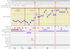 What S Basal Temperature Like When Pregnant New Kids Center