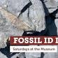 Fossil ID Day
