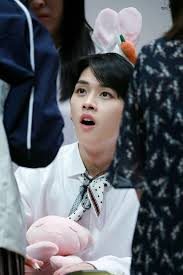 Gimana foto lee min ho atau gambar lee min ho apakah. Gambar Lee Know Stray Kids Lee Know Stray Kids Minho