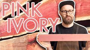 Image result for Berchemia zeyheri