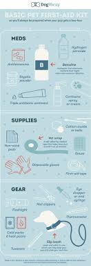 How To Create An Awesome Pet First Aid Kit A Step By Step Guide Pets First Pet Care Dog Health