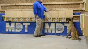 The best of the bbc, with the latest news and sport headlines, weather, tv & radio highlights and much more from across the whole of bbc online Nosework Michigan Dog Training Michigan Dog Training