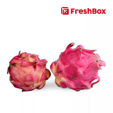 Rasanya yang cenderung manis dan sensasi dingin ketika digigit memang bikin kangen ya. Jual Freshbox Buah Naga Merah 0 9 1 1 Kg Jabodetabek Freshbox