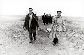 ola conrad (@conrad_ola)