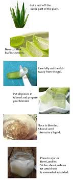 Beautysolutions87 Aloe Vera For Hair