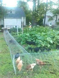 Pin En Hinterhof Huhnerstalle