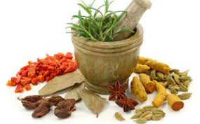 Naturopathy Food And Diet Therapy Service Provider From Delhi