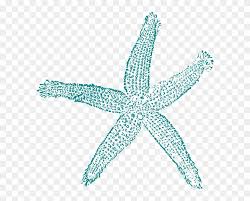 For more information and source. Maehr Aqua Starfish Clip Art At Mzayat Estrella De Mar Vector Free Transparent Png Clipart Images Download