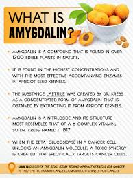 Laetrile is a synthetic form of vitamin b17 and amygdalin, developed as the body metabolizes the amygdalin compound and release cyanide, therefore putting the focus is placed on the cyanide. Laetrile Vitamin B17 Or Amygdalin Steemit