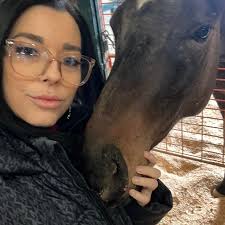 Admiration for New Stud Photo in AQHA, APHA, ApHC and POA Stallions at Stud