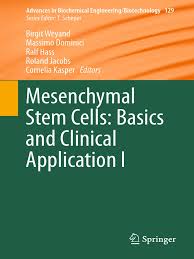 The ultimate resource for the key of a minor: Mesenquinal Stem Cells Basics And Clinics Cellular Differentiation Hematopoietic Stem Cell