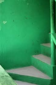 Thecolorgreeen Green Inspiration Green Colors Green Aesthetic