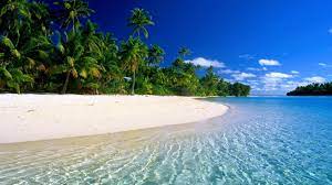 We did not find results for: Hd Beach Desktop Wallpapers Top Free Hd Beach Desktop Backgrounds Wallpaperaccess