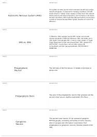 Ch 14 Autonomic Nervous System Biol 252 Fundamentals Of Human Anatomy And Physiology Docsity