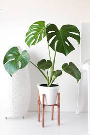 Indoor plant stand decor ideas. 30 Cool Plant Stand Design Ideas For Your House Plants Molitsy Blog
