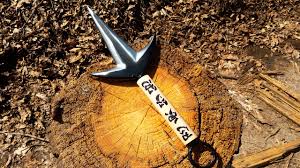 The kunai knife is very famous among manga characters, especially naruto. Diy Kunai Minato Naruto With Templates Youtube