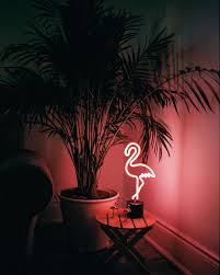 Flamingo Neon Desk Light Neon Decor Neon Bedroom Neon Room