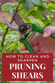 How To Clean And Sharpen Pruning Shears And Other Garden Tools Pruning Shears Sharpen Garden Tools Prune