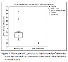 Image result for Rubus runssorensis