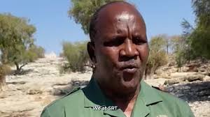 David Shepherd Wildlife Foundation (DSWF)