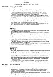 Auditors are no ordinary accountants. Manager Audit Resume Samples Velvet Jobs