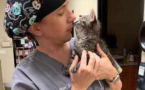We did not find results for: High Suicide Rates Reflect The Many Stresses Of Veterinarians