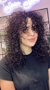 PFS Suites LLC 'Proartistfifi Salon Suite'