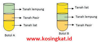 Kunci jawaban bahasa inggris lks kelas 8 kunci jawabanku. Kunci Jawaban Ipa Kelas 9 Halaman 196 200 Uji Kompetensi 9 Kosingkat