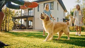 United Pet Care Pet Insurance Alternative United Pet Care Pet Insurance Alternative