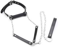 Gag Mouth Head Harness Sex SM Satin Erotic Ball Gag Dog Bone Silicone Mouth  Gag Bondage Fetish Restraints Role Play Sex Toy for Couples Adjustable  Black : Amazon.de: Health & Personal Care