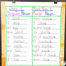 A phrase or clause between subject and verb does not change plural indefinite pronoun subjects take plural verbs. Frogs Fairies And Lesson Plans 5 Noun Lessons You Need To Teach In 1st Grade Part 2