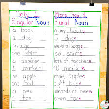 The plural form of standard is standards. Frogs Fairies And Lesson Plans 5 Noun Lessons You Need To Teach In 1st Grade Part 2