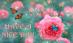 Rose bouquet whatsapp dp 2021|beautiful rose bouquet dp images|rose dp profile pictures|new rose dpz 50 Have A Good Day Pic In Hd For Free Download