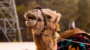 Flickr is almost certainly the best online photo management and sharing application in the world. Why S Korea S First Mers Case In 3 Yrs Is Causing Worry Health News Medibulletin