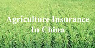 Agriculture and crop insurance solutions offered through rcis provides coverage for 130 different crops through a nationwide network of agents. Stabilizing China S Agriculture The Agriculture Insurance Market In China Daxue Consulting Market Research China