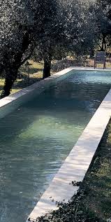 Beautiful Lap Pool Lap Pool Garden Pool Pool