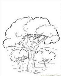 There are tons of great resources for free printable color pages online. Printable Coloring Pages Trees And Leaves Susanrearick Preschool Coloring Home