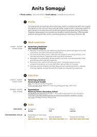 Aside from that, a veterinary assistant needs a few extra skills. Veterinary Assistant Resume Example Kickresume