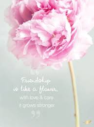 Maybe you would like to learn more about one of these? Friendship Is Like A Flower With Love Care It Friendship Is Like A Flower With Love Care It The Beautiful Flower Quotes Flower Quotes Friendship Flowers