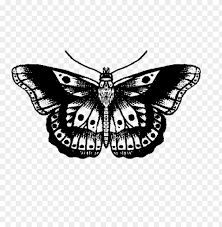 We did not find results for: Vintage Butterfly Tattoo Png Image With Transparent Background Toppng