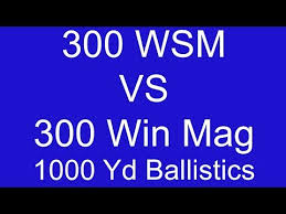 300 Wsm Vs 300 Win Mag 1000 Yard Ballistic Comparison Part