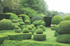 Haseley Court Was In A State Of Disrepair When Lancaster Purchased The Property In The 1950s But The Topiary Chess Garden Hedges Garden Styles Topiary Garden