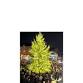 Hometown Holiday event image